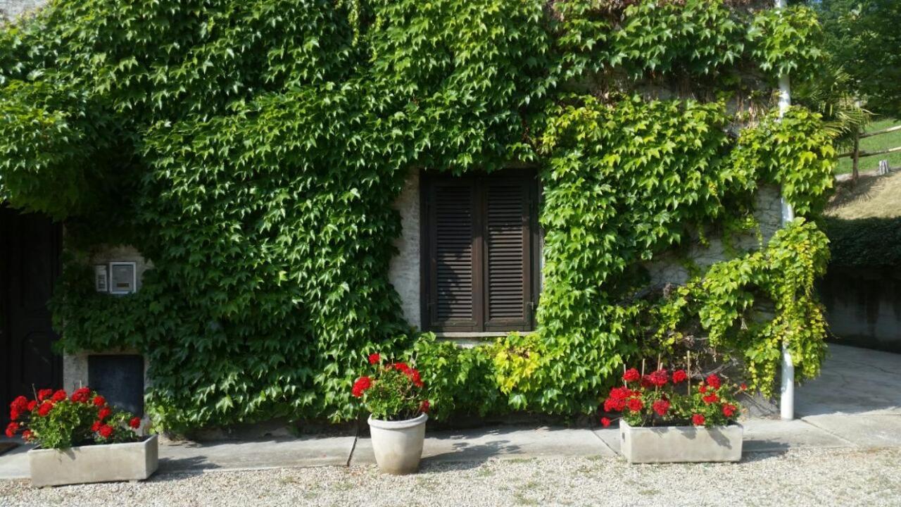 Casa Del Canta Borgomale Eksteriør billede